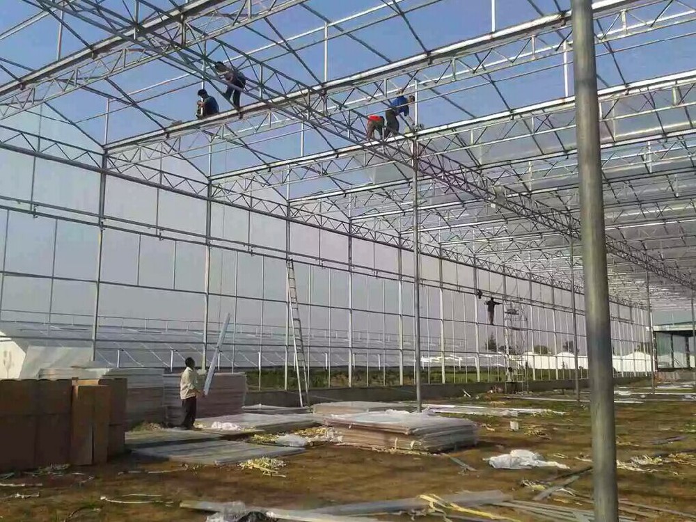 洛阳生态餐厅用誉耐8mm阳光板